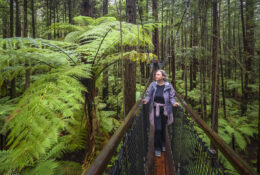 New Zealand 2025 (2 group) (54/84)